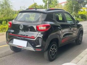 Dongfeng Nano 2022 EX1 PRO Premium