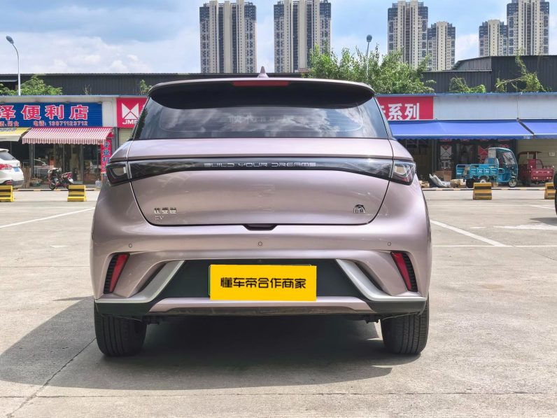 BYD 2022 Dolphin Fashion