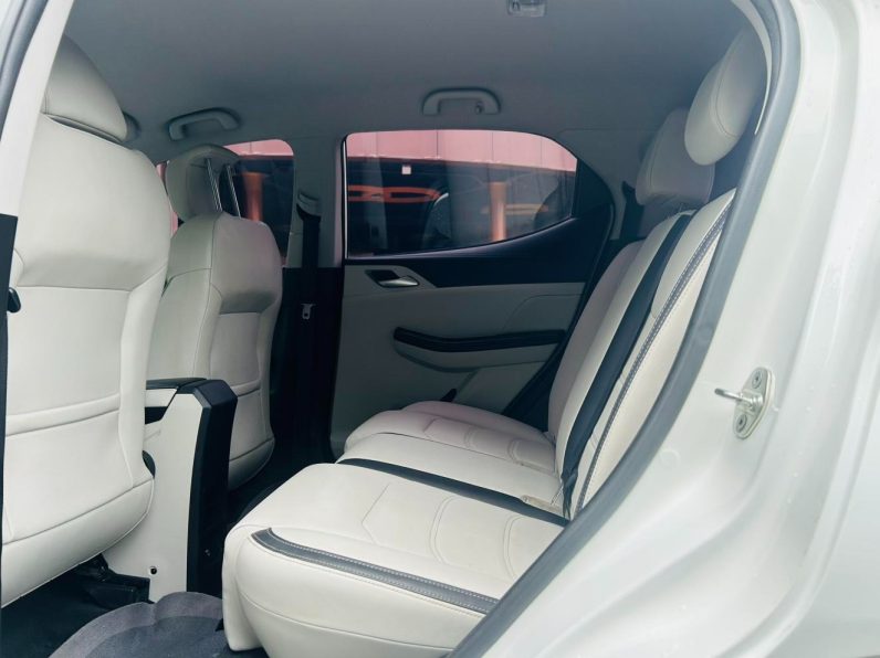 BYD 2022 Yuan Pro 401KM Luxury