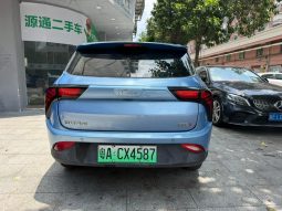 Neta 2021 V Standard Range