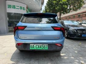 Neta 2021 V Standard Range