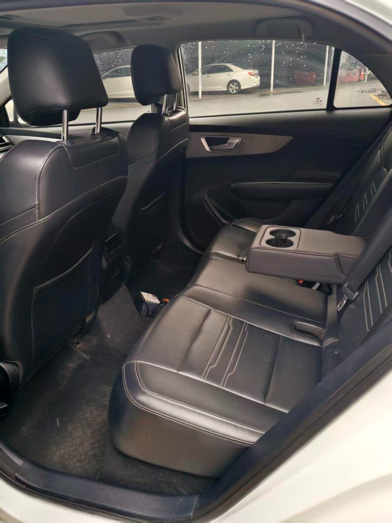 BYD 2020 Qin EV Travel