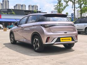BYD 2022 Dolphin Fashion