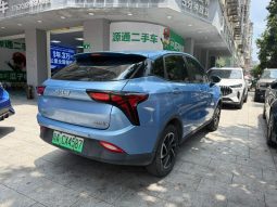 Neta 2021 V Standard Range