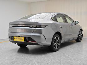 BYD 2024 Destroyer 05 Honor DM-i 120KM Premium