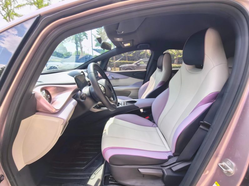 BYD 2022 Dolphin Fashion