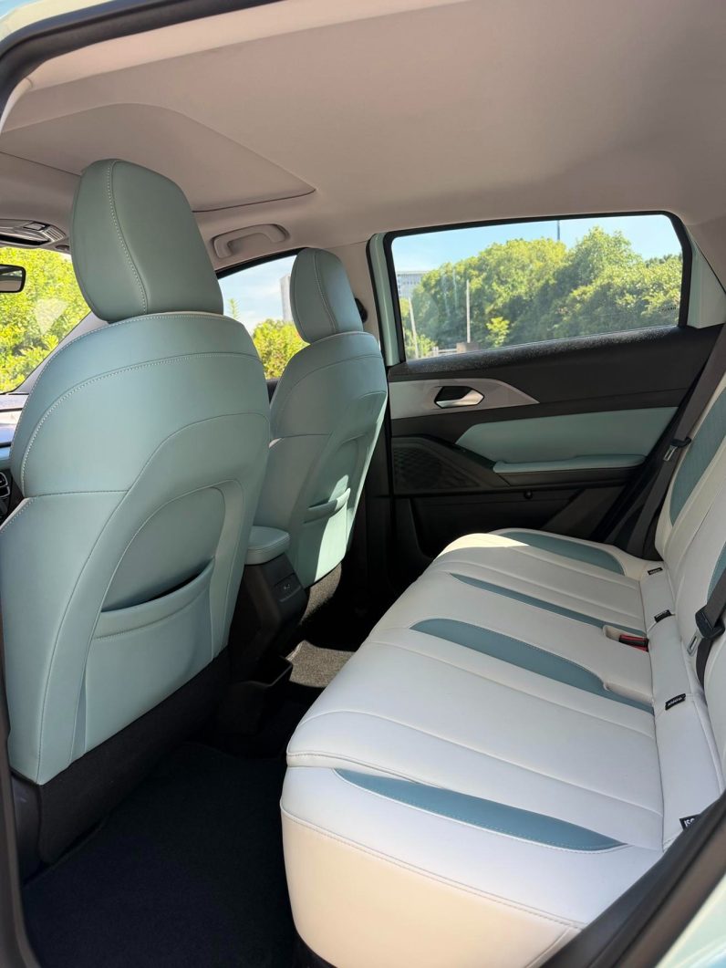 Geely Geometry 2024 Geometry E Firefly 301KM Star