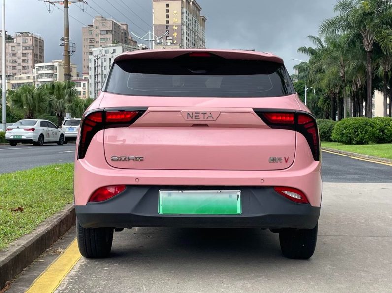 Neta 2022 V Co-loli