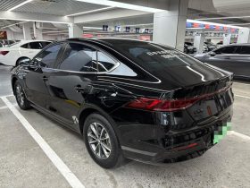BYD 2023 Qin PLUS DM DM-i Champion 55KM Leading