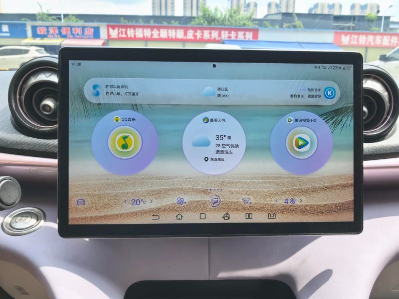 BYD 2022 Dolphin Fashion