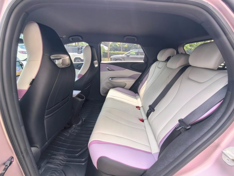 BYD 2022 Dolphin Fashion