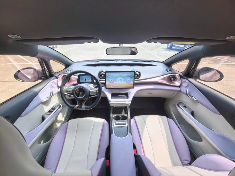 BYD 2022 Dolphin Fashion