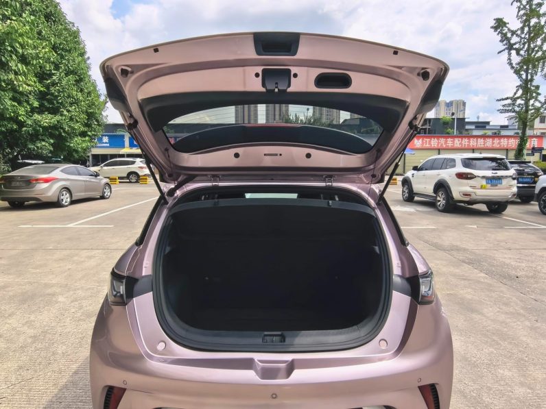BYD 2022 Dolphin Fashion