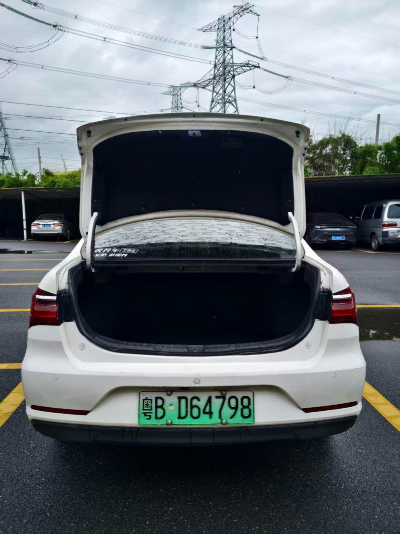 BYD 2020 Qin EV Travel