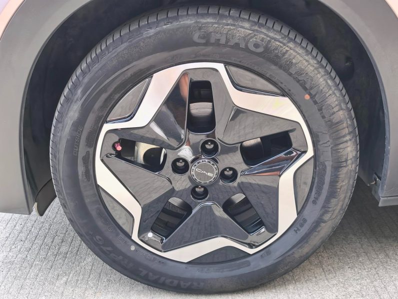 BYD 2022 Dolphin Fashion