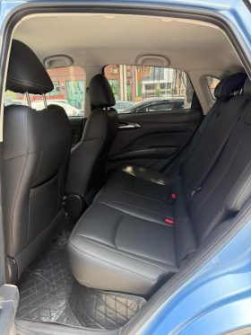 Neta 2021 V Standard Range