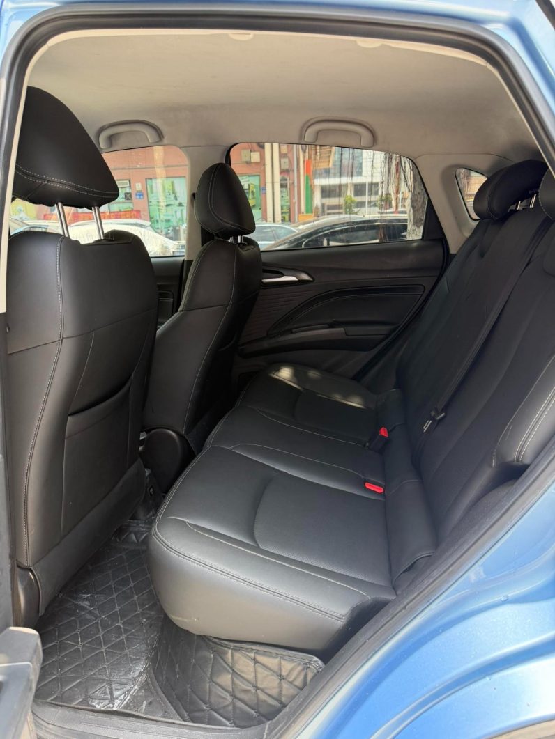 Neta 2021 V Standard Range