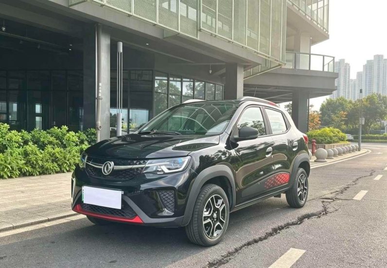 Dongfeng Nano 2022 EX1 PRO Premium
