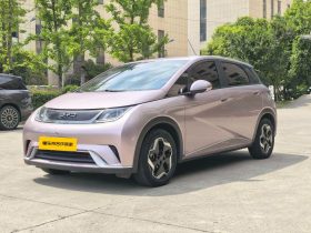 BYD 2022 Dolphin Fashion