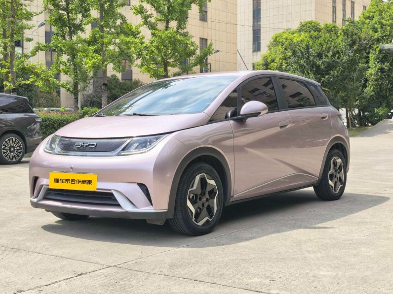 BYD 2022 Dolphin Fashion