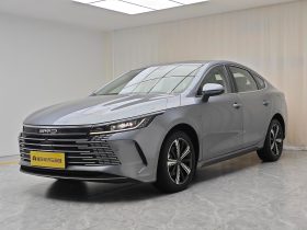 BYD 2024 Destroyer 05 Honor DM-i 120KM Premium