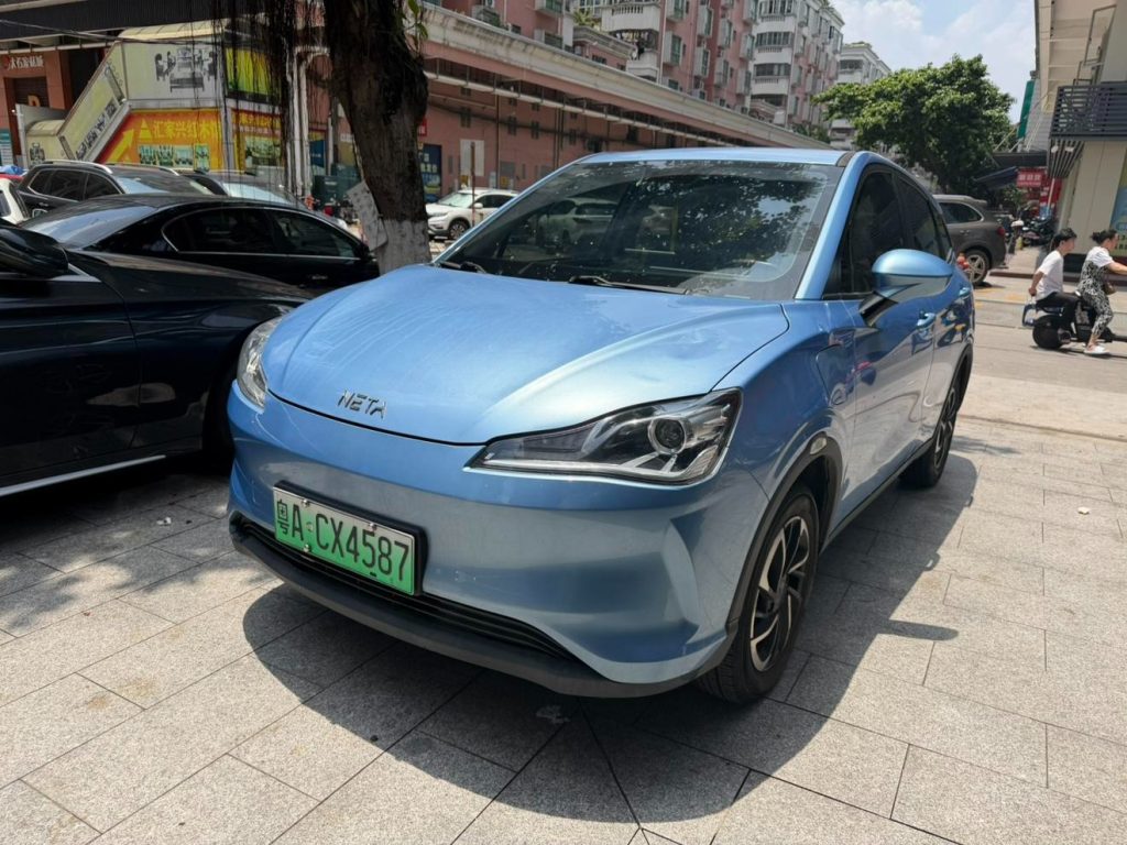 Neta 2021 V Standard Range