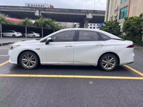 AION 2020 AION S 530