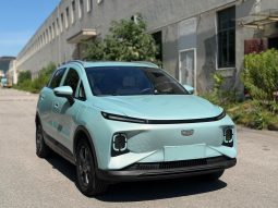 Geely Geometry 2024 Geometry E Firefly 301KM Star