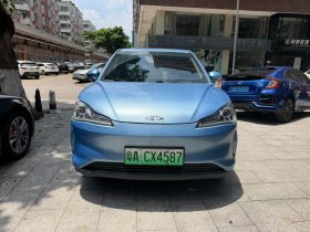 Neta 2021 V Standard Range