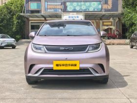 BYD 2022 Dolphin Fashion
