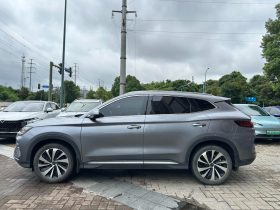 BYD 2024 Song PLUS DM Honor DM-i 110KM Flagship PLUS