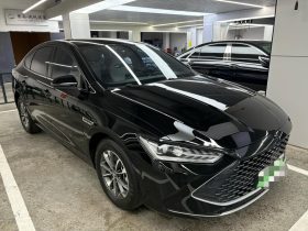 BYD 2023 Qin PLUS DM DM-i Champion 55KM Leading