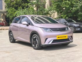 BYD 2022 Dolphin Fashion