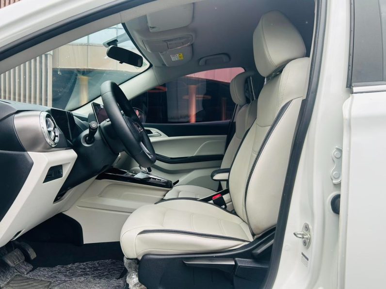 BYD 2022 Yuan Pro 401KM Luxury