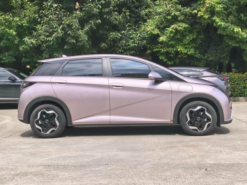 BYD 2022 Dolphin Fashion