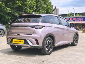 BYD 2022 Dolphin Fashion