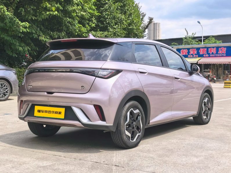 BYD 2022 Dolphin Fashion