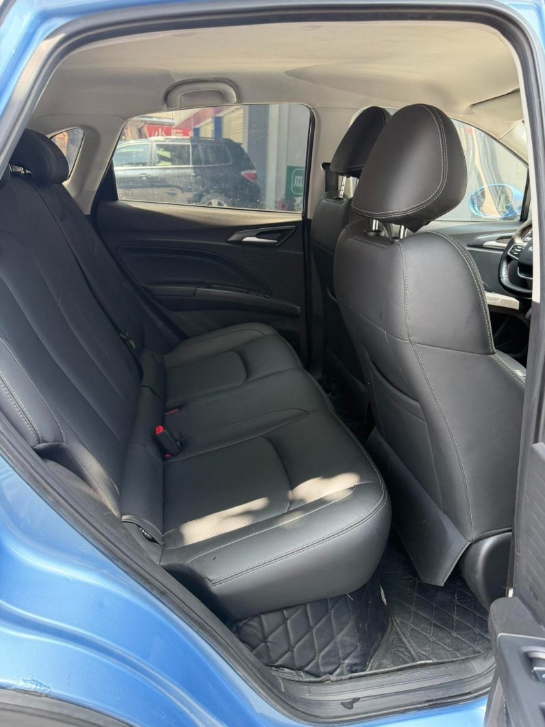 Neta 2021 V Standard Range
