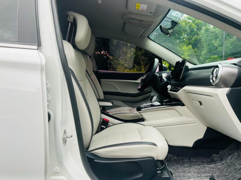 BYD 2022 Yuan Pro 401KM Luxury