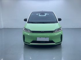 BYD 2021 D1 Pioneer Trim