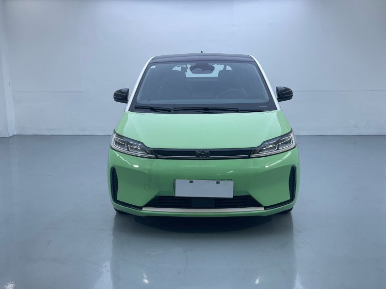 BYD 2021 D1 Pioneer Trim