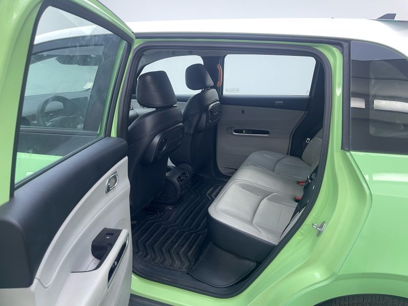 BYD 2021 D1 Pioneer Trim