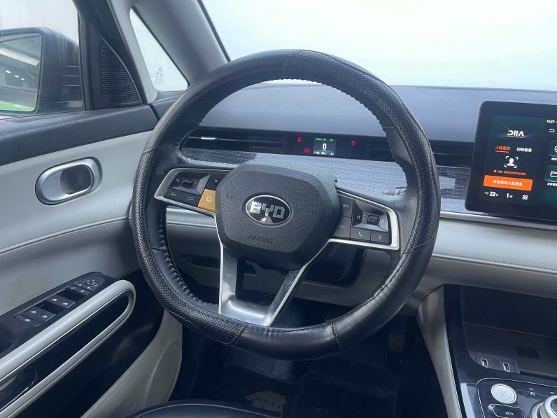 BYD 2021 D1 Pioneer Trim