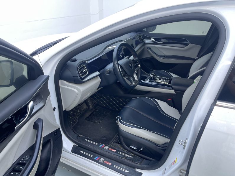 BYD 2021 Qin PLUS EV 400KM Luxury Trim