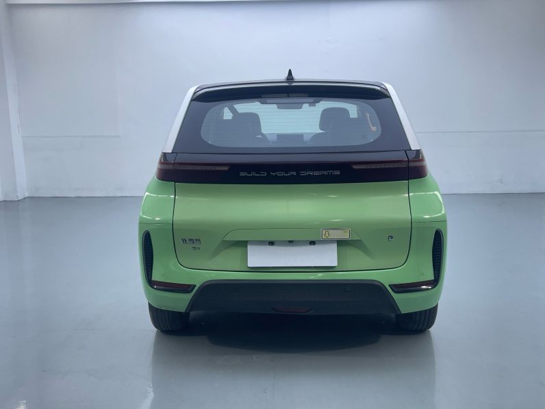 BYD 2021 D1 Pioneer Trim