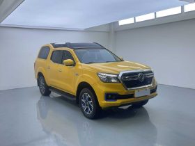 Dongfeng 2021 Rich 6 EV Van Flagship