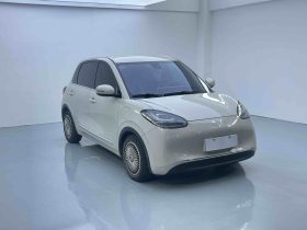 Wuling 2023 Bingo 333km
