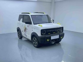 Geely 2024 Panda 200km Knight