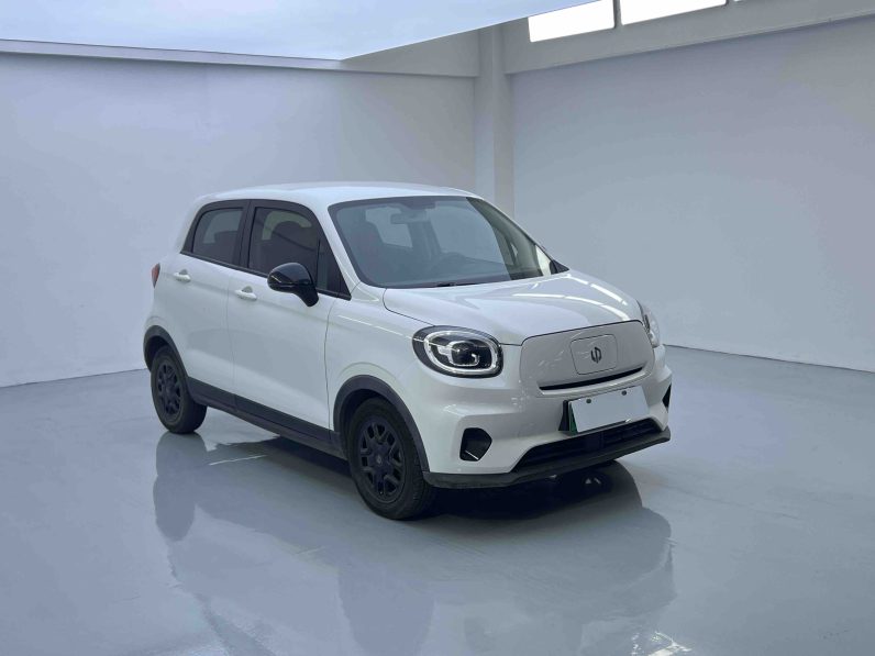 Leapmotor 2023 T03 310 Lite