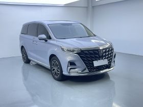 Roewe 2022 iMAX8 EV Platinum